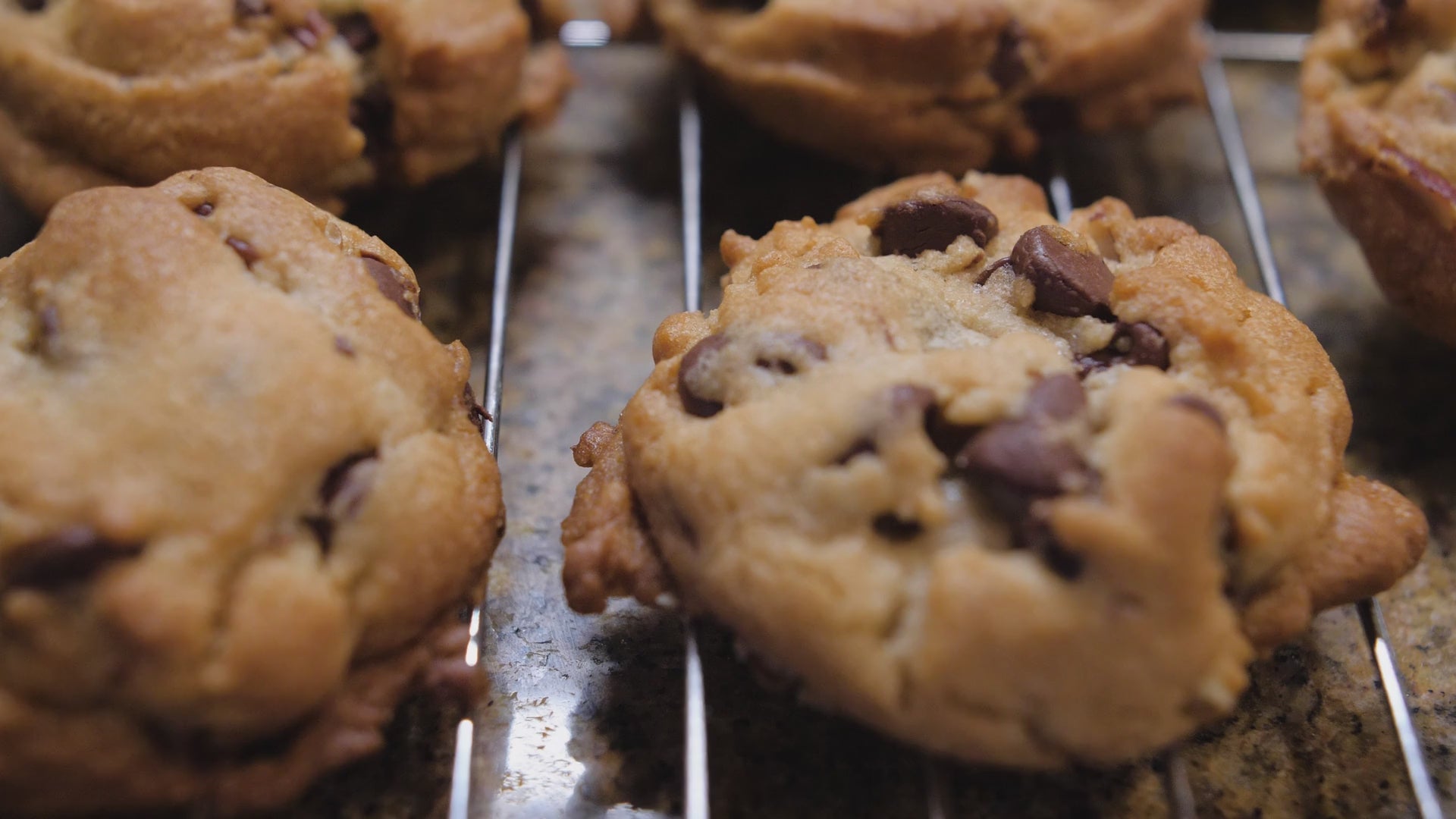 Beauty Begins With Every Bite! Yummy Chocolate Chip Cookies With Stem Cells (Box of 4)